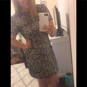 Meet your Posher, Molly